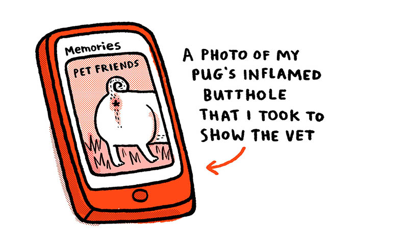 https://cdn.tinyview.com/gemma/2023/10/02/phone-memories/3.jpg