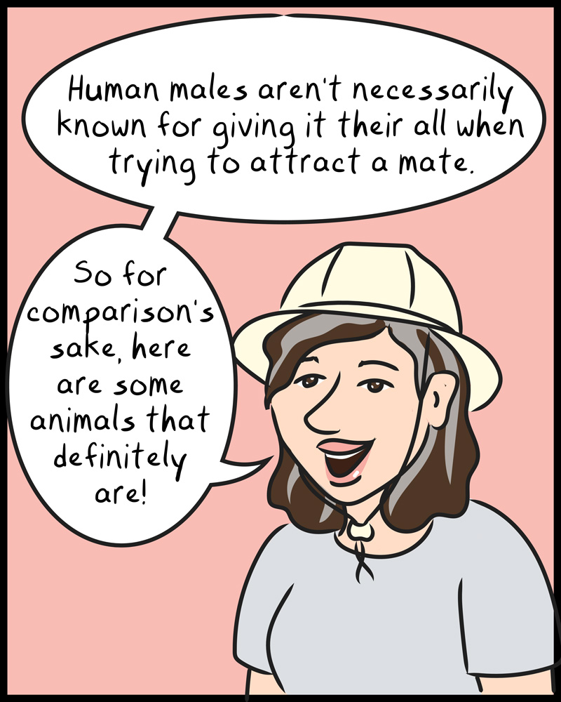 https://cdn.tinyview.com/graphic-rage/2026/06/02/if-he-wanted-to-he-would/animals-01.jpg