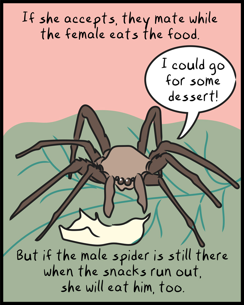 https://cdn.tinyview.com/graphic-rage/2026/06/02/if-he-wanted-to-he-would/animals-06.jpg
