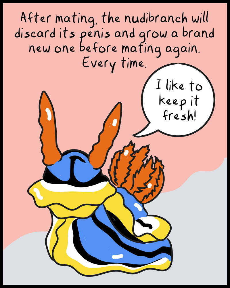 https://cdn.tinyview.com/graphic-rage/2026/06/02/if-he-wanted-to-he-would/animals-10.jpg