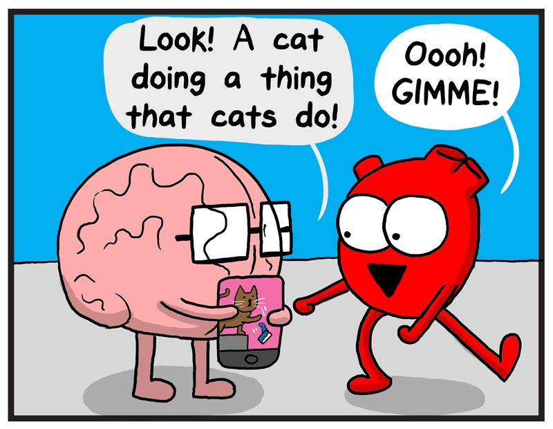 https://cdn.tinyview.com/heart-and-brain/015-distraction/distraction-04.jpg