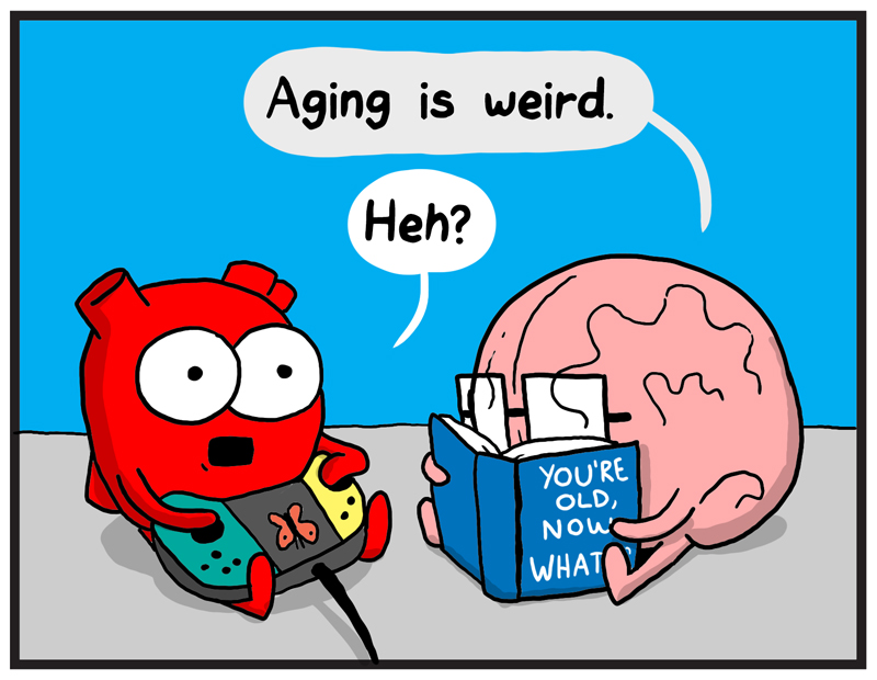 https://cdn.tinyview.com/heart-and-brain/019-aging/aging-01.jpg
