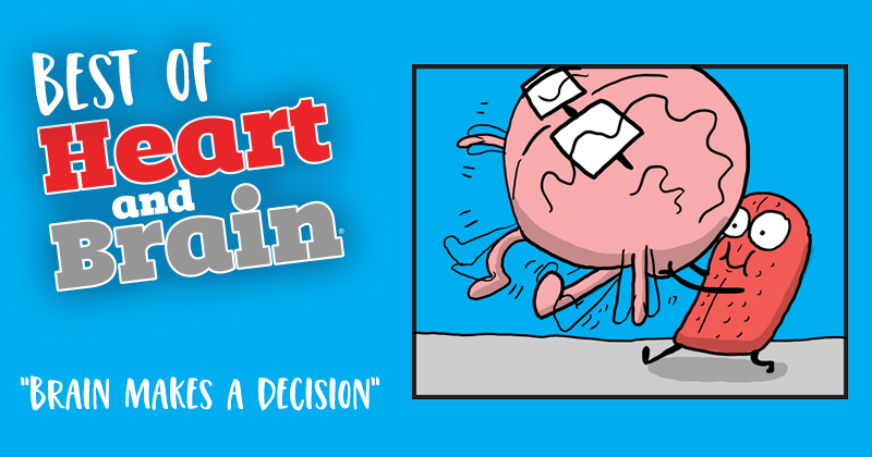 Brain Makes a Decision