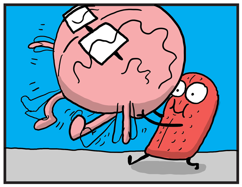 https://cdn.tinyview.com/heart-and-brain/2021/09/07/brain-makes-a-decision/brain-makes-a-decision-02.jpg