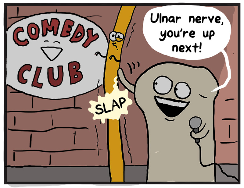 https://cdn.tinyview.com/heart-and-brain/2021/11/16/funny-bone-is-not-funny/047_HB_01.jpg