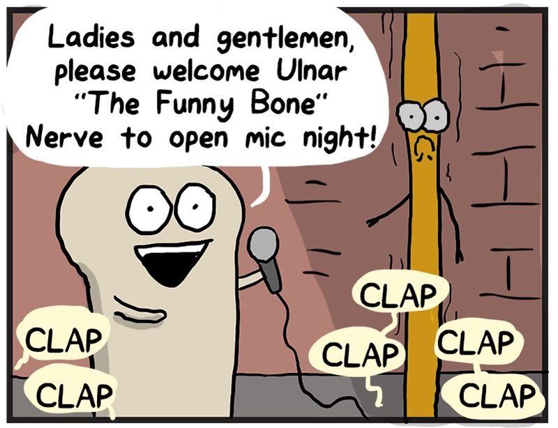 https://cdn.tinyview.com/heart-and-brain/2021/11/16/funny-bone-is-not-funny/047_HB_02.jpg