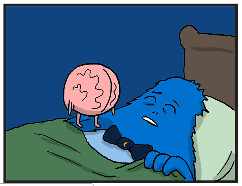 https://cdn.tinyview.com/heart-and-brain/2022/01/04/sleep-cycle/HB_054_04.jpg