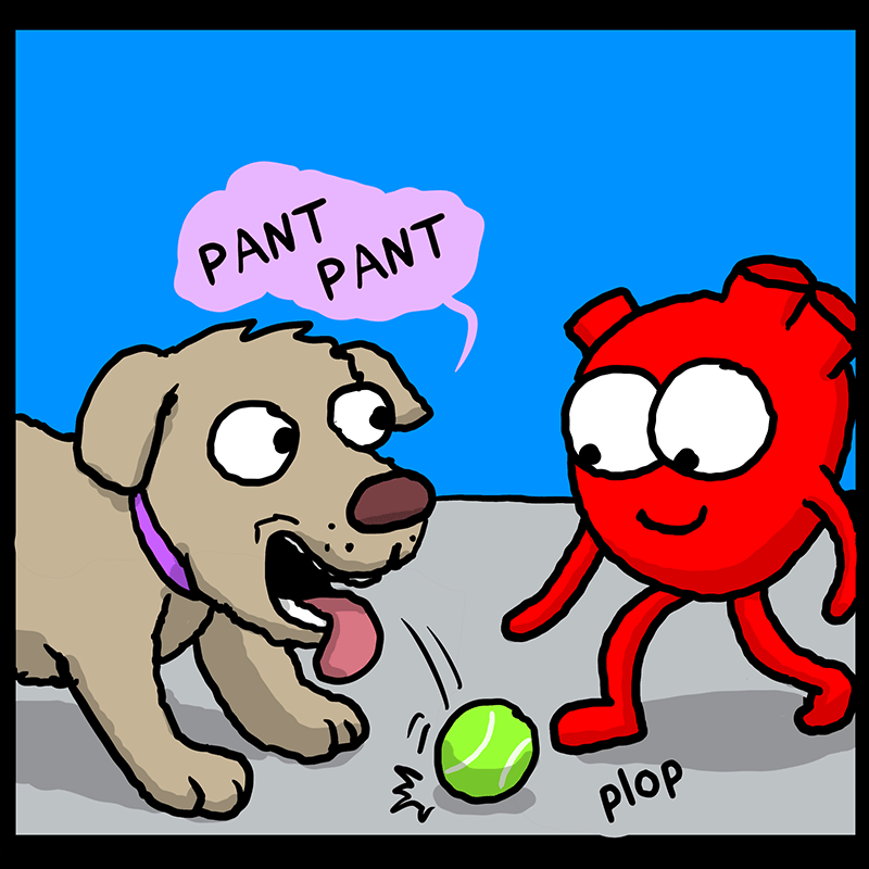 https://cdn.tinyview.com/heart-and-brain/2023/03/04/play/68_HB_01.png