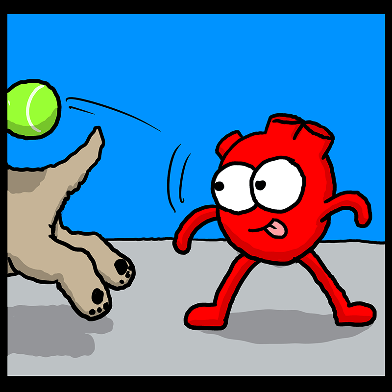 https://cdn.tinyview.com/heart-and-brain/2023/03/04/play/68_HB_02.png