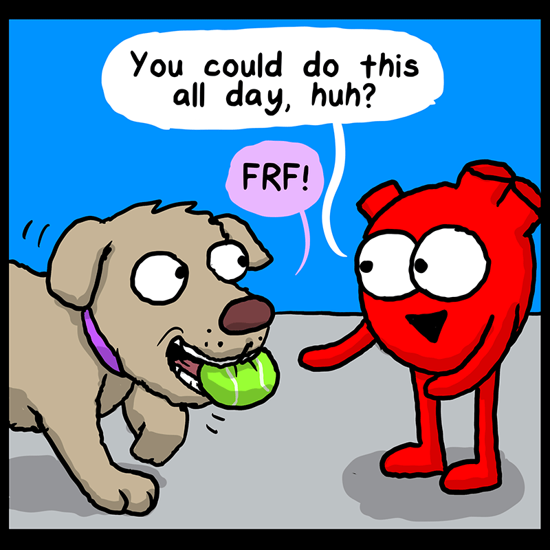 https://cdn.tinyview.com/heart-and-brain/2023/03/04/play/68_HB_03.png