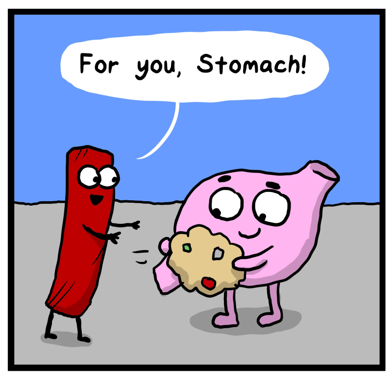 https://cdn.tinyview.com/heart-and-brain/2023/03/14/pass-it-down/071_HB_03.PNG