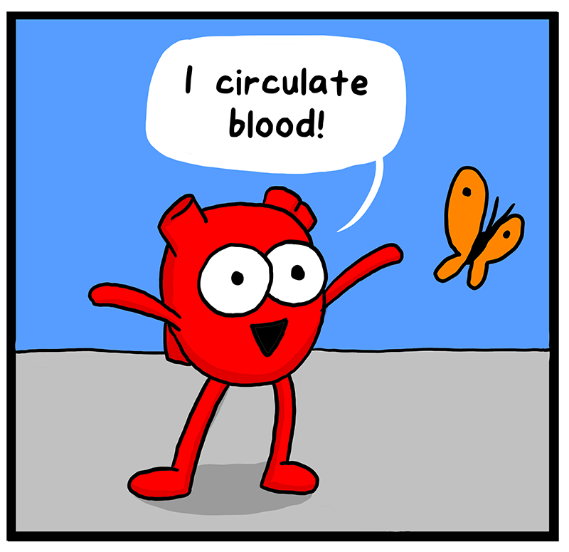 https://cdn.tinyview.com/heart-and-brain/2023/03/28/the-human-body/2FDFB424-B03C-4ACC-B5D9-BDB3CB11E39C.png
