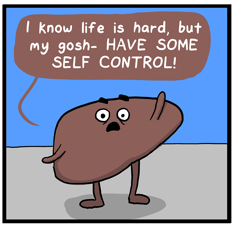 https://cdn.tinyview.com/heart-and-brain/2023/03/28/the-human-body/2FEBD401-D18A-4F9E-948E-45FD067CC1A8.png