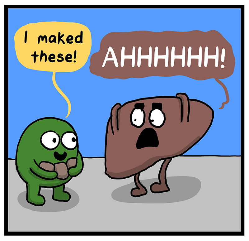 https://cdn.tinyview.com/heart-and-brain/2023/03/28/the-human-body/AEA4B2B7-C7C4-4FCE-B739-EB6AE0718681.png
