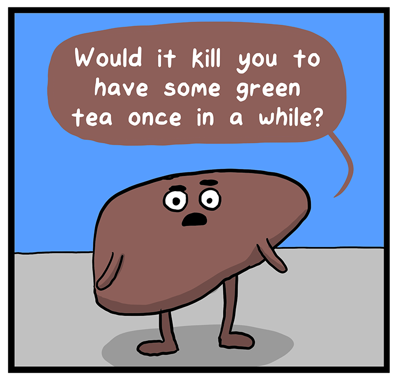 https://cdn.tinyview.com/heart-and-brain/2023/03/28/the-human-body/DDF7836A-29D1-4709-B719-ECC72AF134F7.png