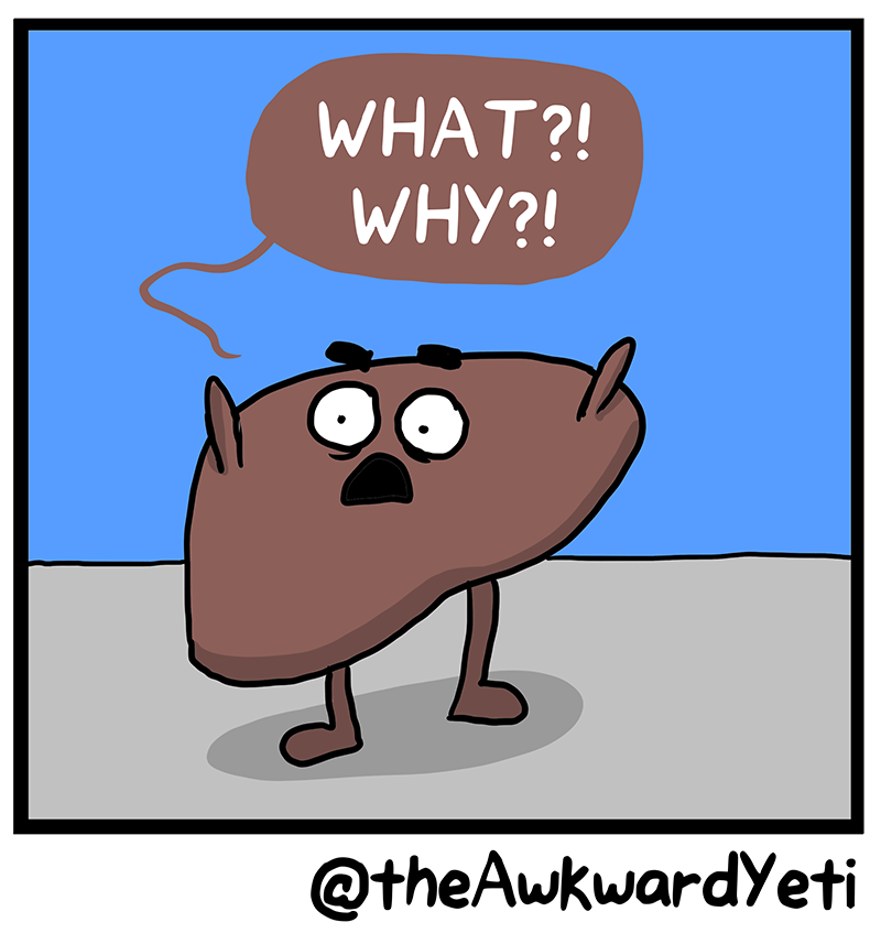 https://cdn.tinyview.com/heart-and-brain/2023/03/28/the-human-body/EBBF13B8-FB4A-4899-8BF0-DB52029D3F2C.png