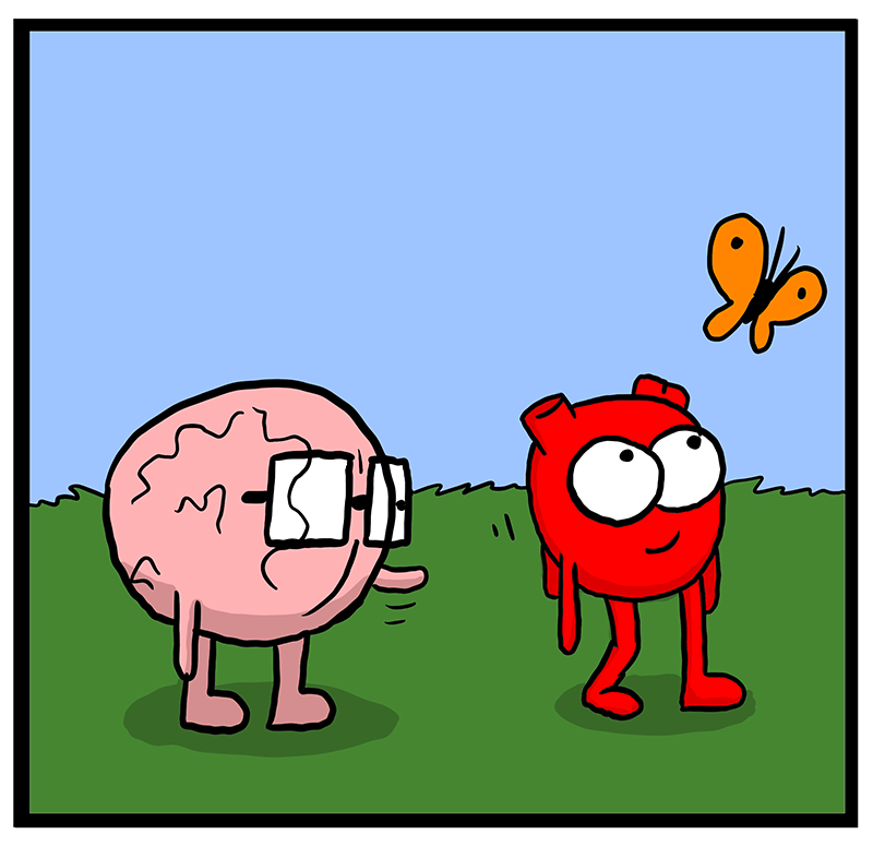 https://cdn.tinyview.com/heart-and-brain/2023/04/04/healing/E823E6D3-077D-4A42-BB49-98C21D6E2FDA.png