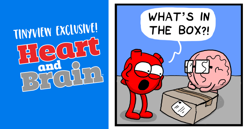 The Box