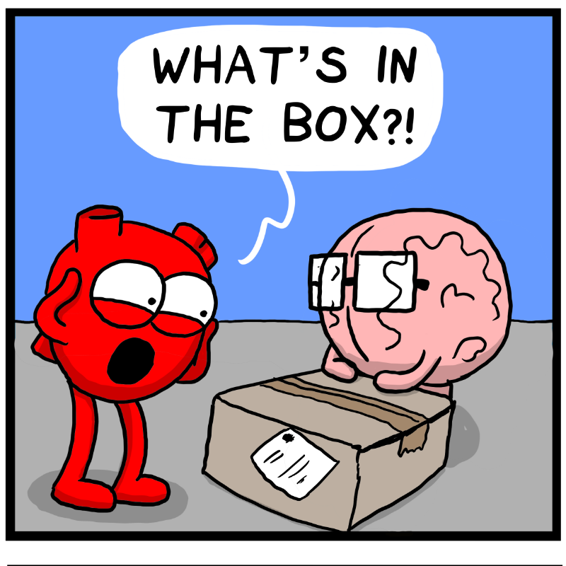 https://cdn.tinyview.com/heart-and-brain/2023/04/27/the-box/IMG_1428.png