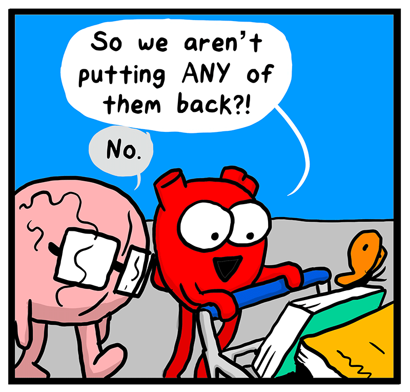 https://cdn.tinyview.com/heart-and-brain/2023/05/04/book-shopping/086_HB_04.png