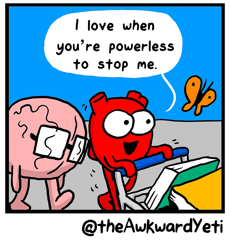 https://cdn.tinyview.com/heart-and-brain/2023/05/04/book-shopping/086_HB_05.png