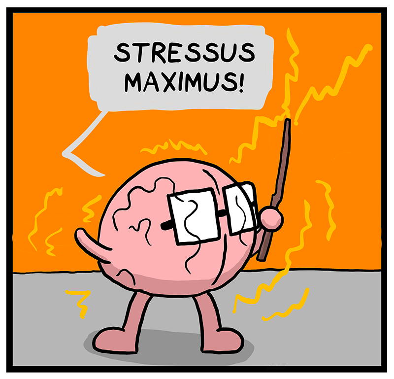 https://cdn.tinyview.com/heart-and-brain/2023/05/09/how-stress-affects-the-whole-body/087_HB_01.png