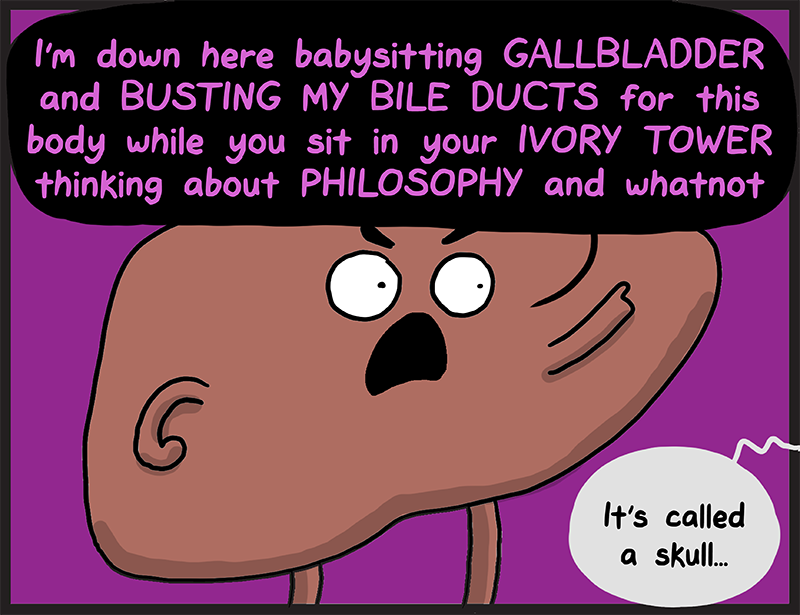 https://cdn.tinyview.com/heart-and-brain/2023/05/28/angry-liver/IMG_1554.png