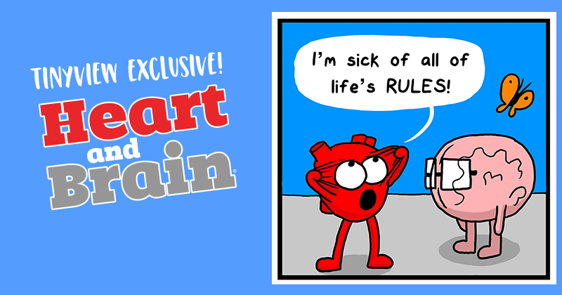 RULES
