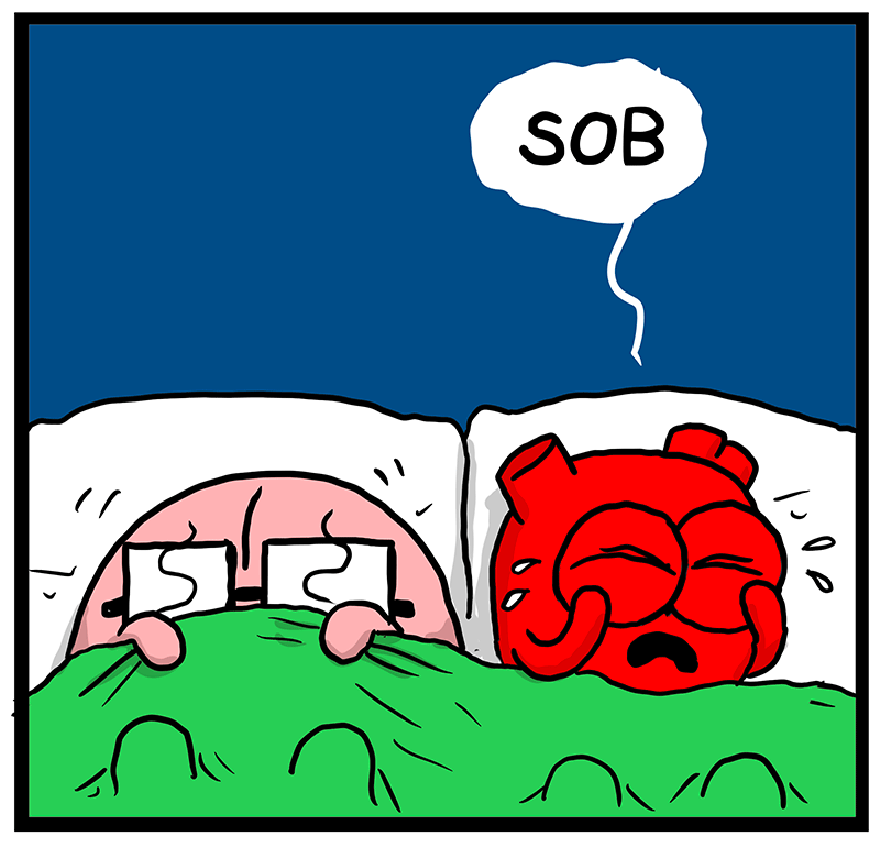 https://cdn.tinyview.com/heart-and-brain/2023/06/29/self-care-tips/96_HB_07.png