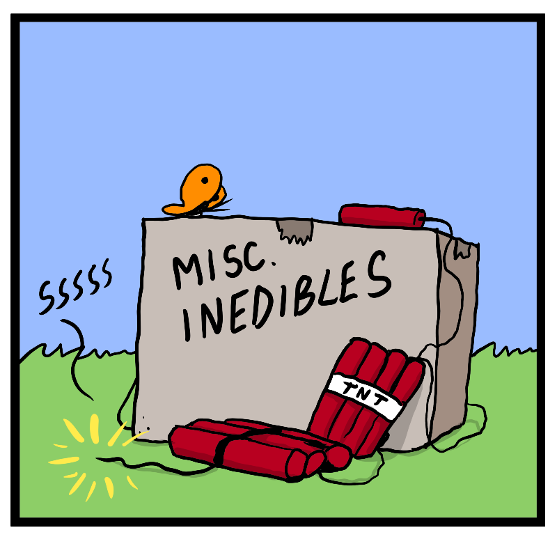 https://cdn.tinyview.com/heart-and-brain/2023/07/04/explosions-day/IMG_1683.png