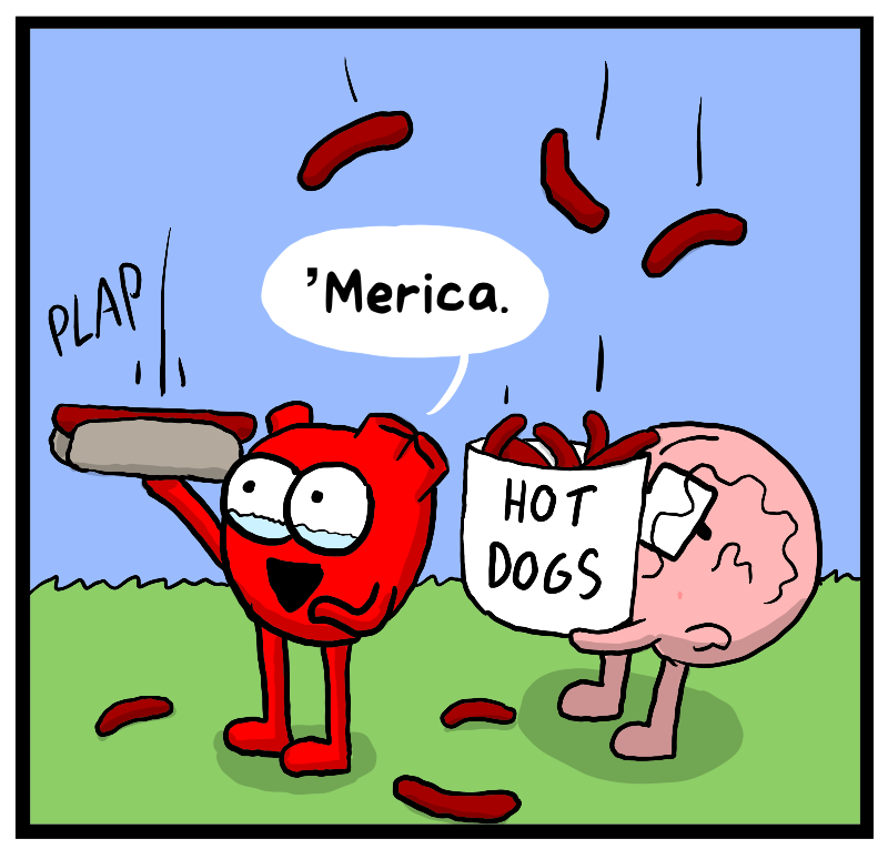 https://cdn.tinyview.com/heart-and-brain/2023/07/04/explosions-day/IMG_1685.png