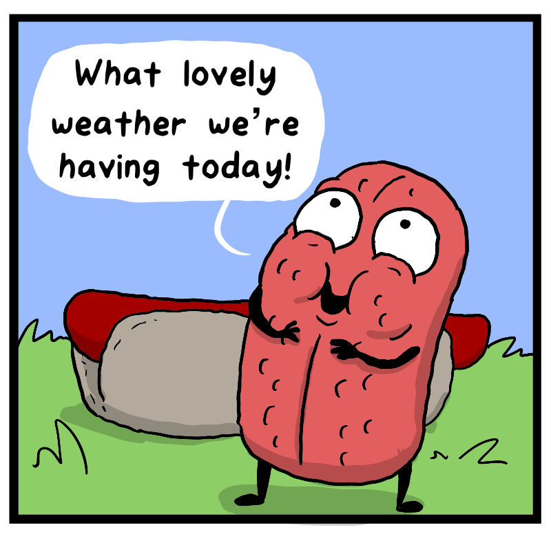 https://cdn.tinyview.com/heart-and-brain/2023/07/04/explosions-day/IMG_1686.png