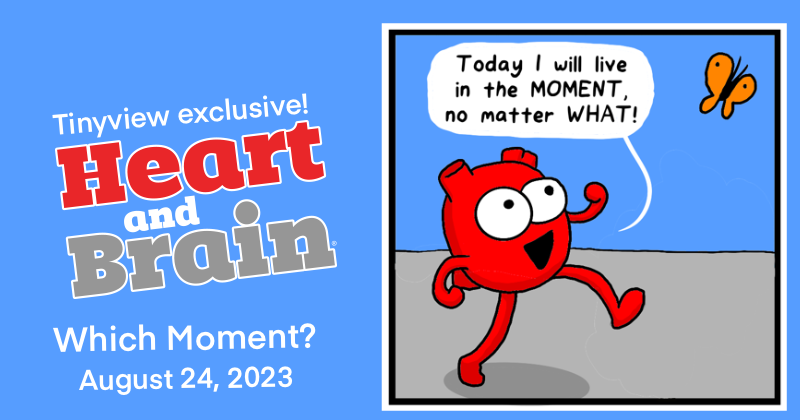 Which moment?