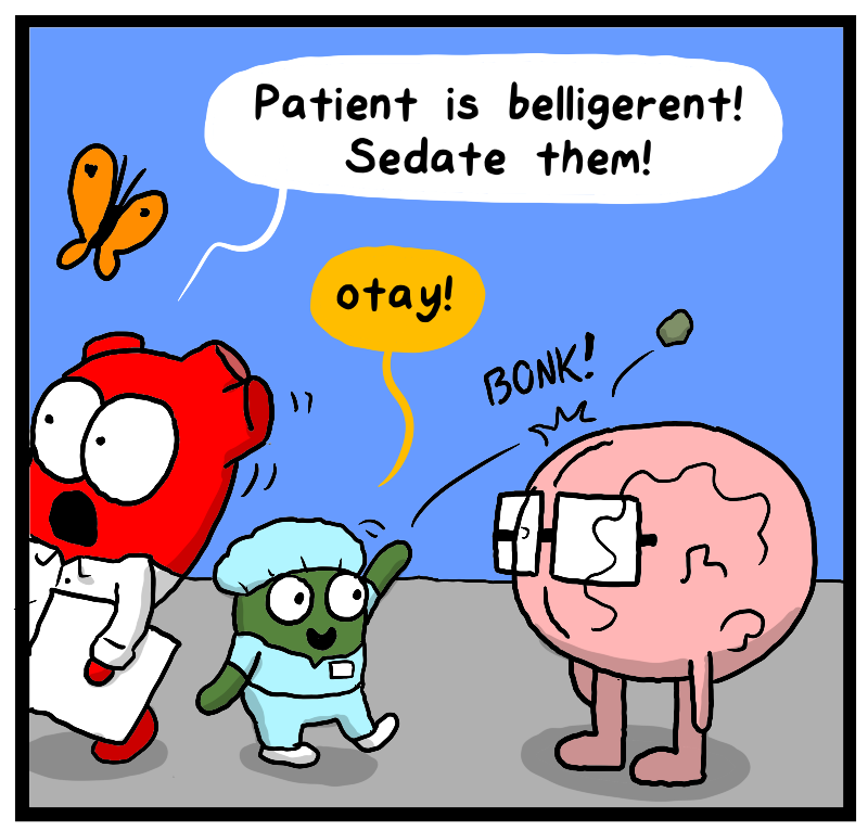https://cdn.tinyview.com/heart-and-brain/2023/09/05/addiction/IMG_1899.png