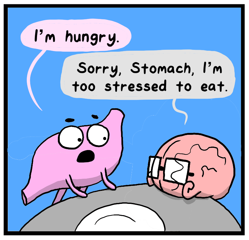 https://cdn.tinyview.com/heart-and-brain/2023/09/14/stress-not-eating/IMG_1936.png