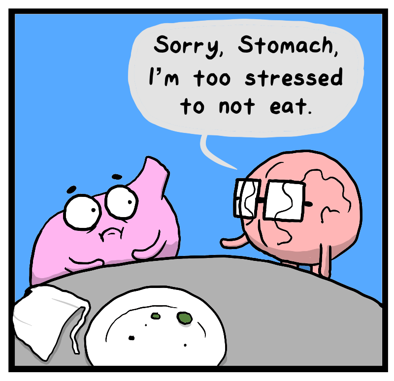 https://cdn.tinyview.com/heart-and-brain/2023/09/14/stress-not-eating/IMG_1940.png
