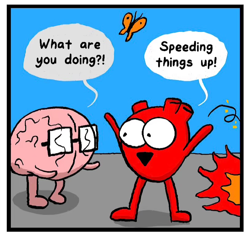 https://cdn.tinyview.com/heart-and-brain/2026/04/13/from-the-ground-down/IMG_4866-compressed.jpeg
