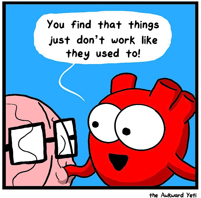https://cdn.tinyview.com/heart-and-brain/2026/04/18/brain-and-only-brain-ages/IMG_4897-compressed.jpeg