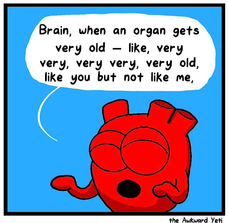 https://cdn.tinyview.com/heart-and-brain/2026/04/18/brain-and-only-brain-ages/IMG_4906-compressed.jpeg