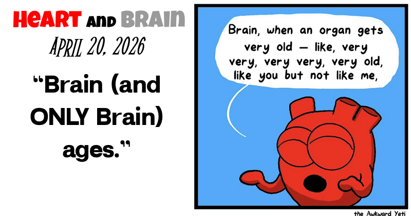 Brain (and only Brain) ages
