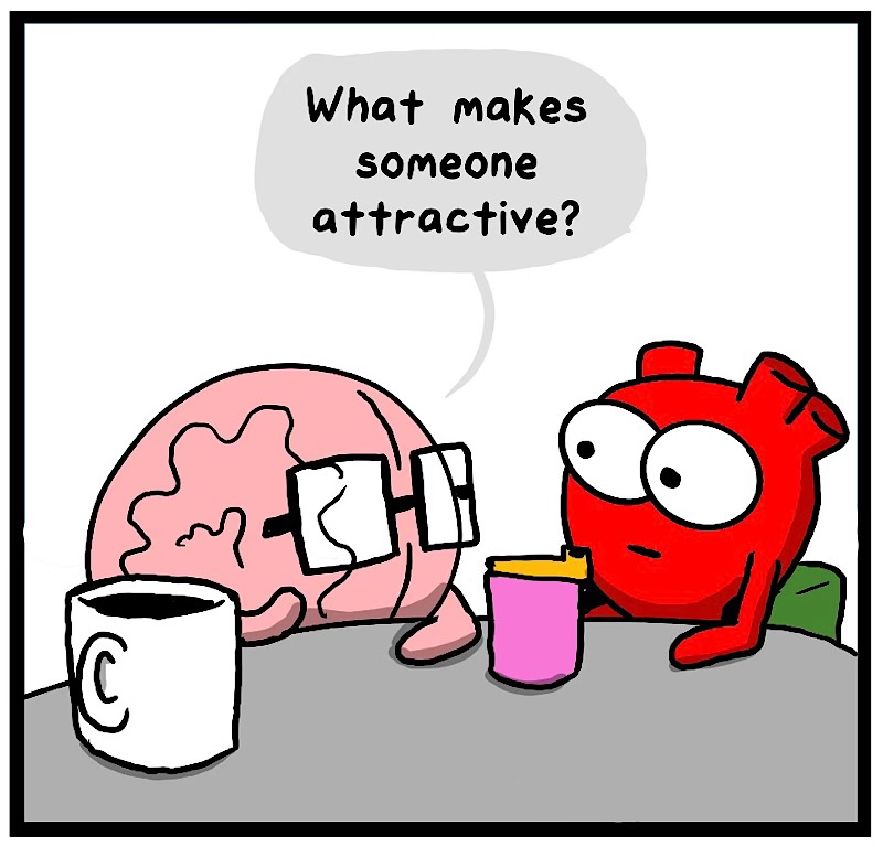 https://cdn.tinyview.com/heart-and-brain/2026/04/28/attraction/IMG_5002-compressed.jpeg