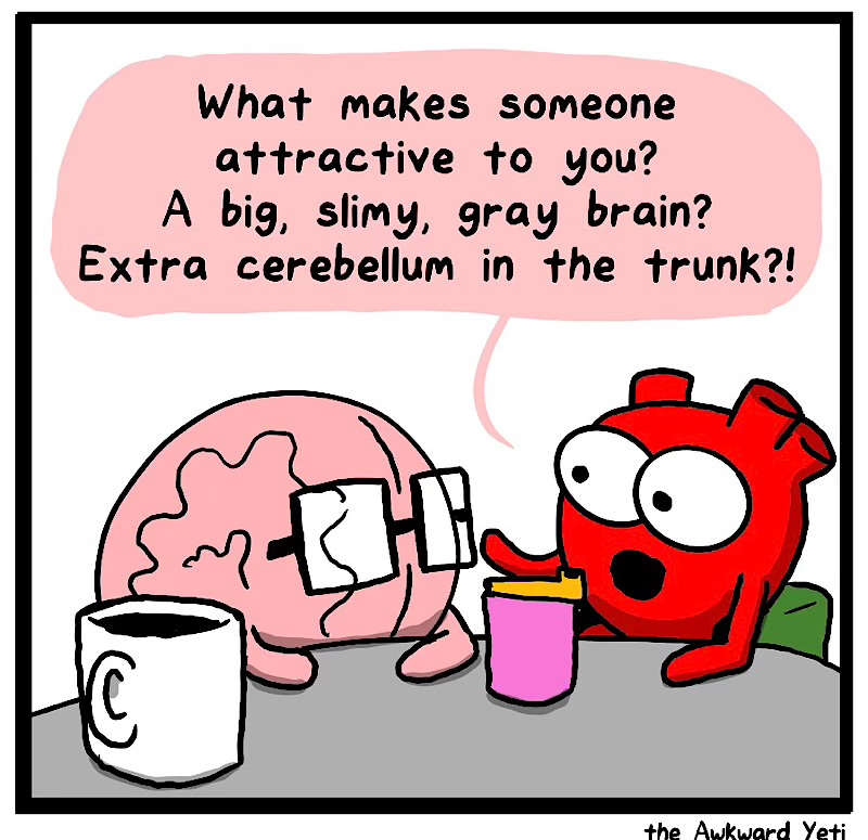 https://cdn.tinyview.com/heart-and-brain/2026/04/28/attraction/IMG_5004-compressed.jpeg