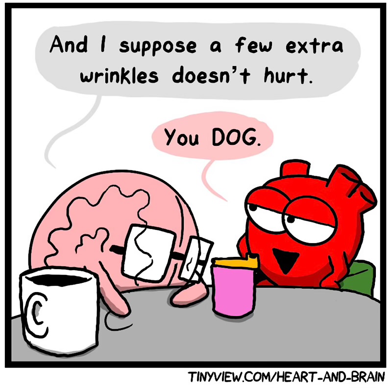 https://cdn.tinyview.com/heart-and-brain/2026/04/28/attraction/IMG_5007-compressed.jpeg