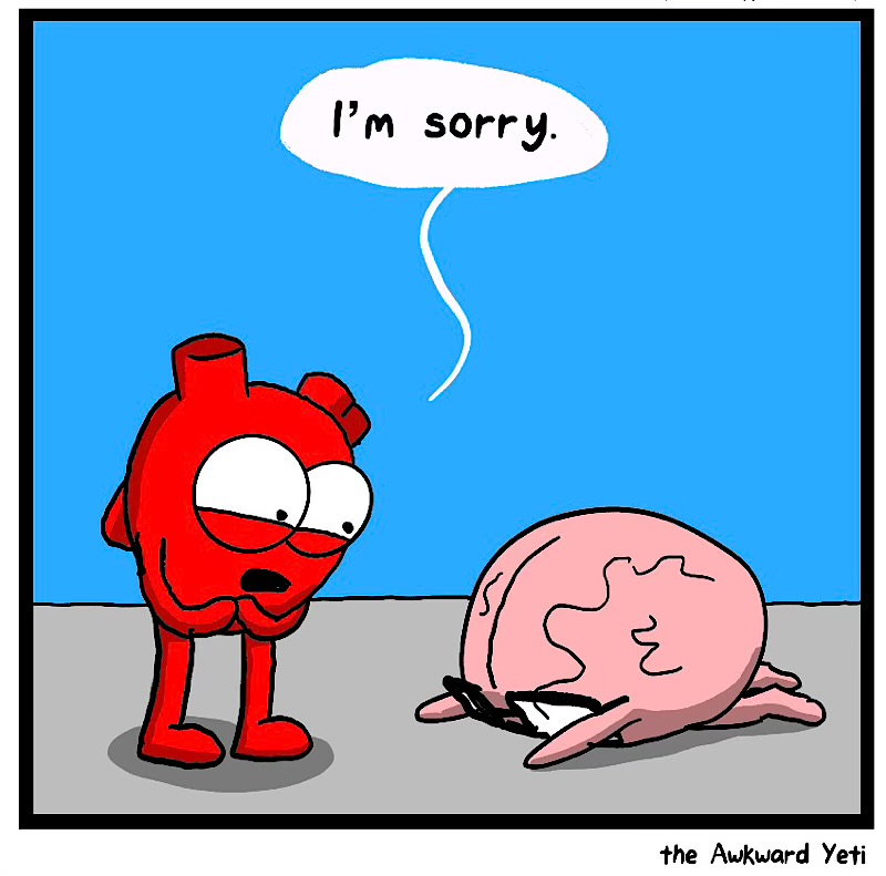 https://cdn.tinyview.com/heart-and-brain/2026/05/02/may-the-fourth-be-with-you/IMG_5053-compressed.jpeg