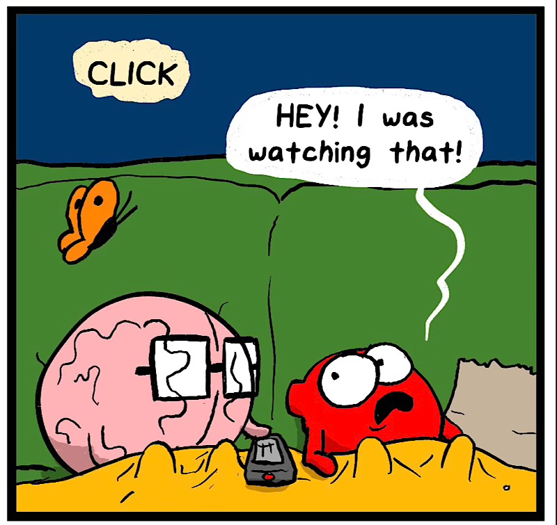 https://cdn.tinyview.com/heart-and-brain/2026/05/06/movie-night/IMG_5078-compressed.jpeg