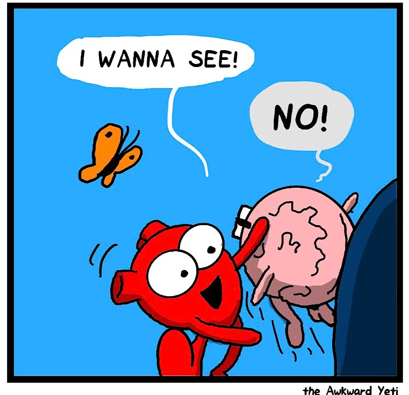 https://cdn.tinyview.com/heart-and-brain/2026/05/09/to-see-or-not-to-see/IMG_5090-compressed.jpeg