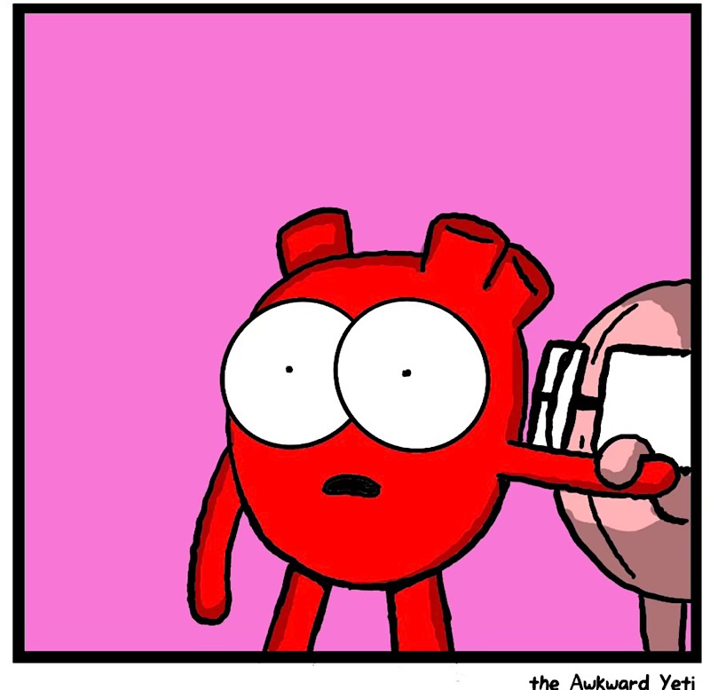 https://cdn.tinyview.com/heart-and-brain/2026/05/09/to-see-or-not-to-see/IMG_5091-compressed.jpeg
