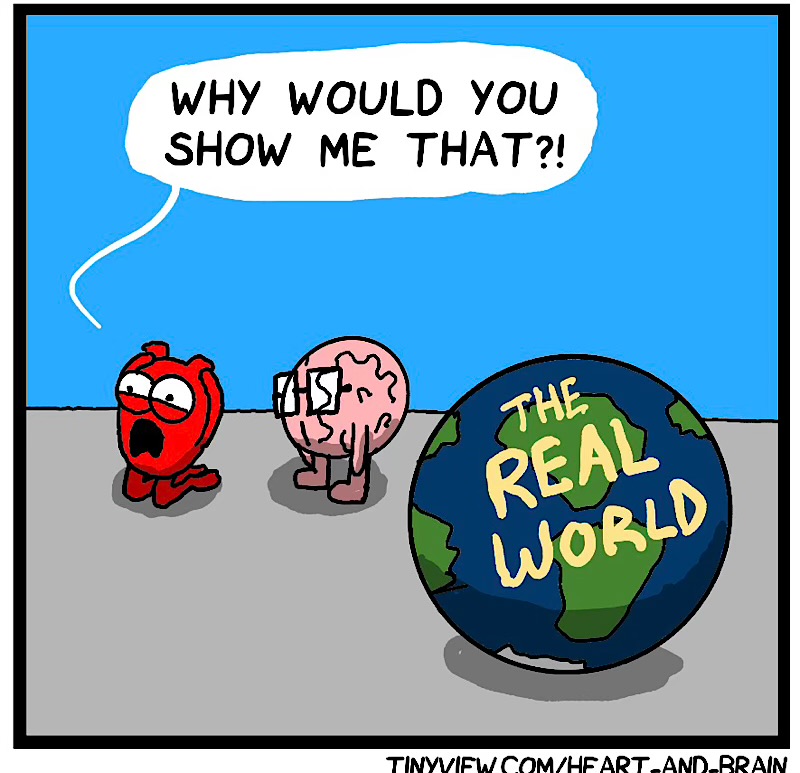 https://cdn.tinyview.com/heart-and-brain/2026/05/09/to-see-or-not-to-see/IMG_5092-compressed.jpeg