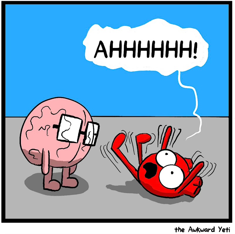 https://cdn.tinyview.com/heart-and-brain/2026/05/18/never/IMG_5182-compressed.jpeg