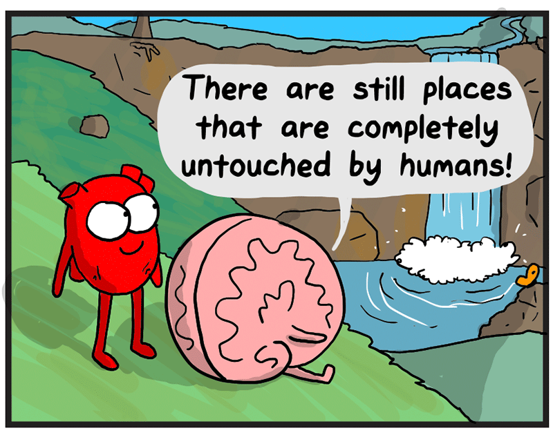 https://cdn.tinyview.com/heart-and-brain/2026/05/24/nature/12.png